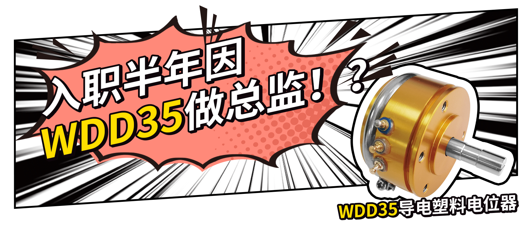入職半年因WDD35做總監(jiān)？！